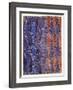 Textile Design (W/C on Paper)-Charles Rennie Mackintosh-Framed Giclee Print