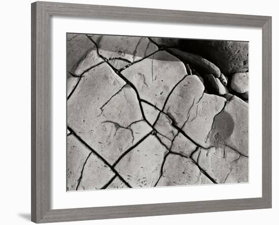 Texture 2-Lee Peterson-Framed Photographic Print