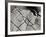 Texture 2-Lee Peterson-Framed Photographic Print