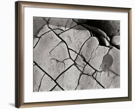 Texture 2-Lee Peterson-Framed Photographic Print