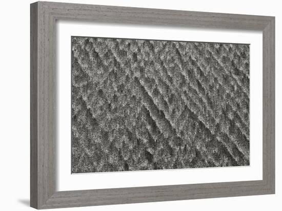 Texture 3-Lee Peterson-Framed Photographic Print