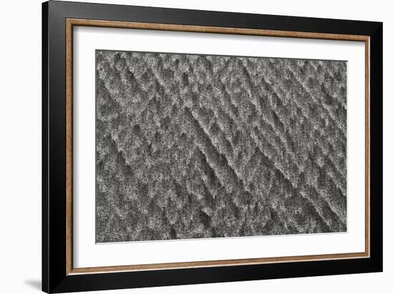 Texture 3-Lee Peterson-Framed Photographic Print