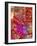 Texture 64-Cherry Pie Studios-Framed Giclee Print