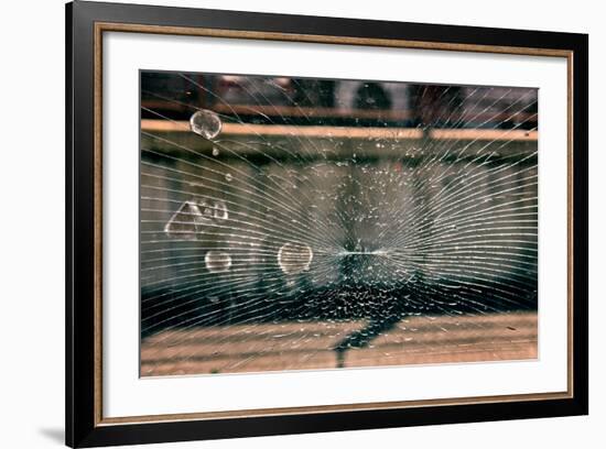 Texture of Broken Glass in Italy-null-Framed Photo