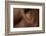 Texture of Human Skin. close up of African-American Male Body-master1305-Framed Photographic Print