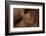 Texture of Human Skin. close up of African-American Male Body-master1305-Framed Photographic Print