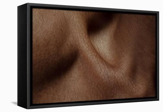 Texture of Human Skin. close up of African-American Male Body-master1305-Framed Premier Image Canvas