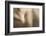 Texture of Human Skin. close up of Well-Kept Caucasian Human Body-master1305-Framed Photographic Print