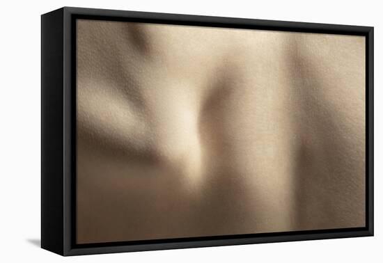 Texture of Human Skin. close up of Well-Kept Caucasian Human Body-master1305-Framed Premier Image Canvas