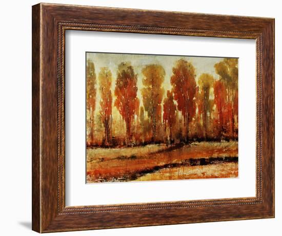 Texture of Trees-Tim O'toole-Framed Giclee Print