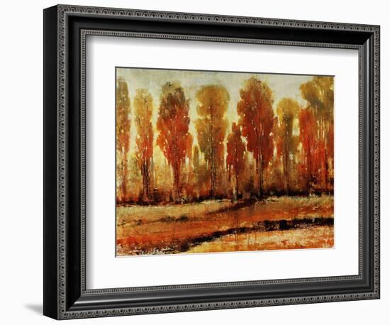 Texture of Trees-Tim O'toole-Framed Giclee Print