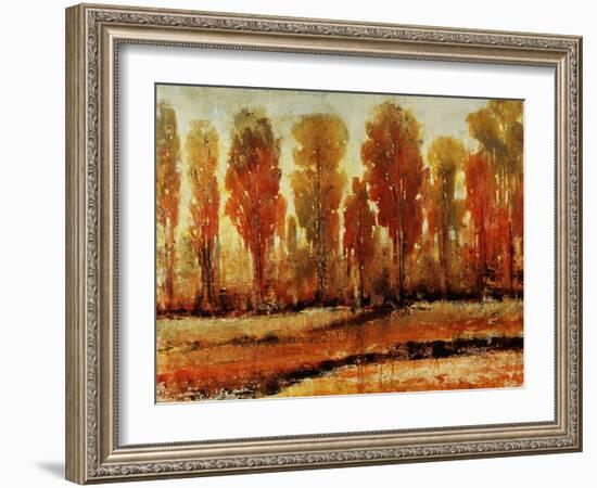 Texture of Trees-Tim O'toole-Framed Giclee Print