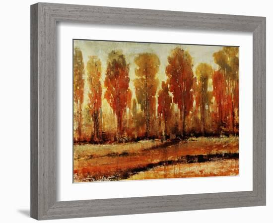 Texture of Trees-Tim O'toole-Framed Giclee Print