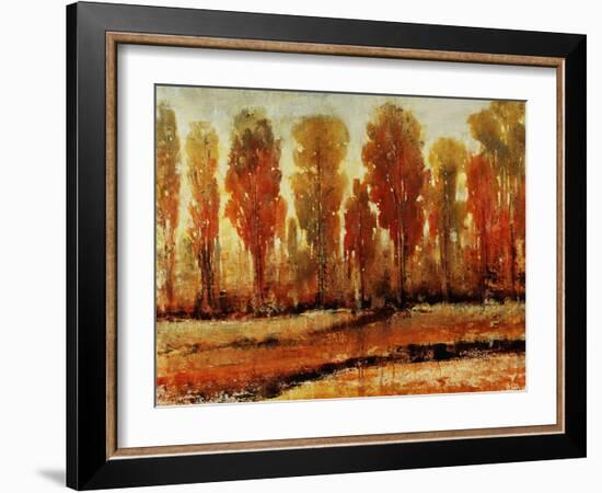 Texture of Trees-Tim O'toole-Framed Giclee Print