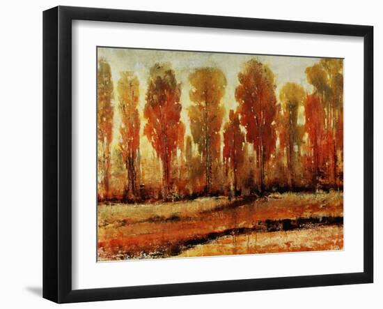 Texture of Trees-Tim O'toole-Framed Giclee Print