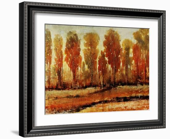 Texture of Trees-Tim O'toole-Framed Giclee Print