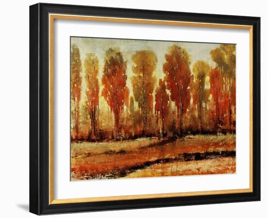 Texture of Trees-Tim O'toole-Framed Giclee Print