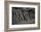 Texture Sand 2-Lee Peterson-Framed Photographic Print