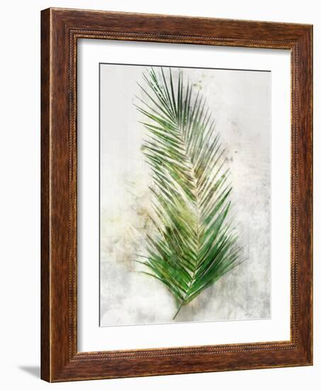 Textured Areca Palm-Ken Roko-Framed Art Print