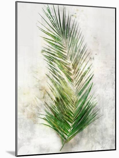 Textured Areca Palm-Ken Roko-Mounted Art Print