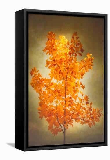 Textured Autumn-Philippe Sainte-Laudy-Framed Premier Image Canvas