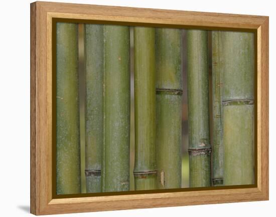 Textured Background-null-Framed Premier Image Canvas