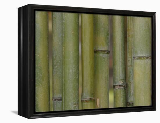 Textured Background-null-Framed Premier Image Canvas