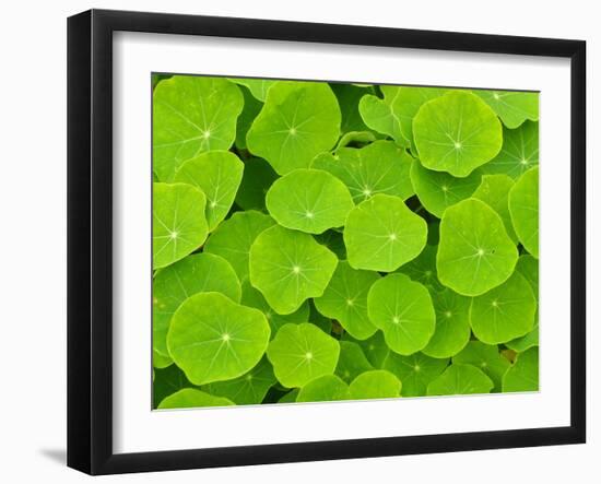 Textured Background-null-Framed Photographic Print