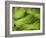 Textured Background-null-Framed Photographic Print