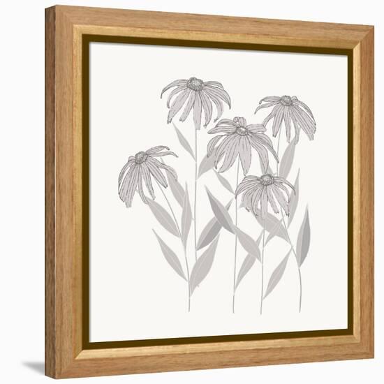 Textured Calm Flower Black Eyed Susans-Sweet Melody Designs-Framed Stretched Canvas