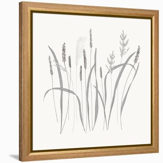 Textured Calm Wild Grasses-Sweet Melody Designs-Framed Stretched Canvas