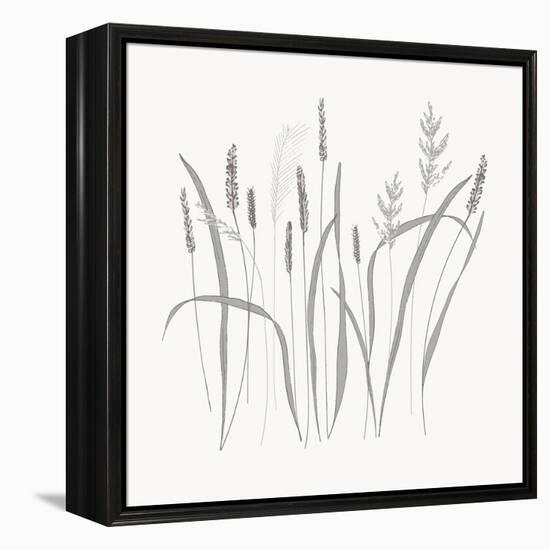 Textured Calm Wild Grasses-Sweet Melody Designs-Framed Stretched Canvas