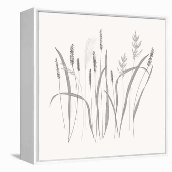 Textured Calm Wild Grasses-Sweet Melody Designs-Framed Stretched Canvas