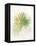 Textured Fan Palm-Ken Roko-Framed Stretched Canvas