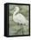 Textured Heron I-Jennifer Goldberger-Framed Stretched Canvas