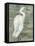 Textured Heron II-Jennifer Goldberger-Framed Stretched Canvas