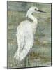 Textured Heron II-Jennifer Goldberger-Mounted Art Print