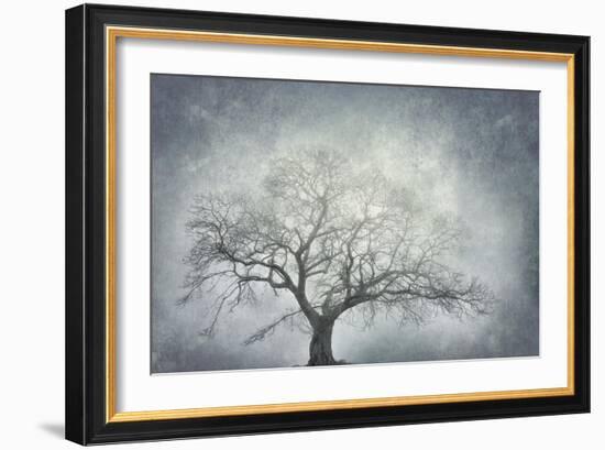 textured nature-Phillipe Manguin-Framed Giclee Print