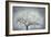 textured nature-Phillipe Manguin-Framed Giclee Print