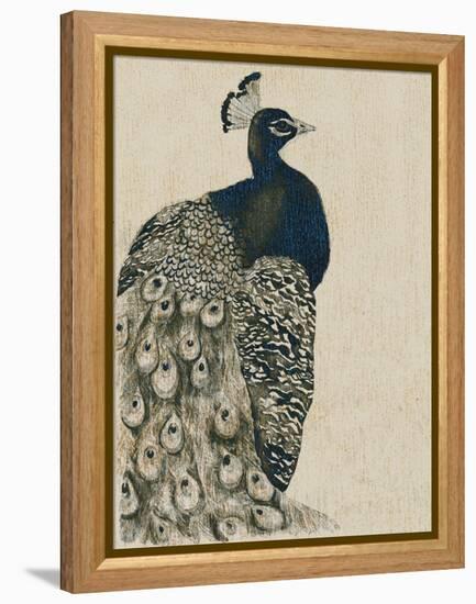 Textured Peacock I-Grace Popp-Framed Stretched Canvas