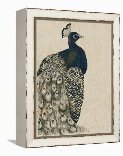 Textured Peacock I-Grace Popp-Framed Stretched Canvas