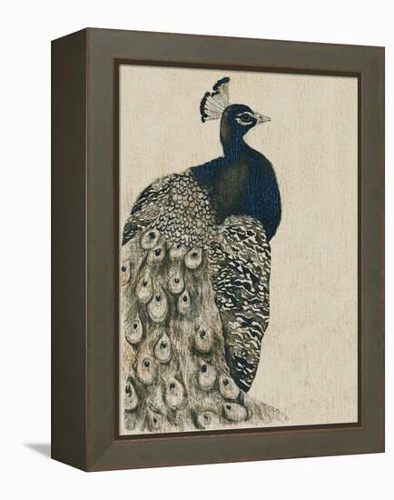 Textured Peacock I-Grace Popp-Framed Stretched Canvas