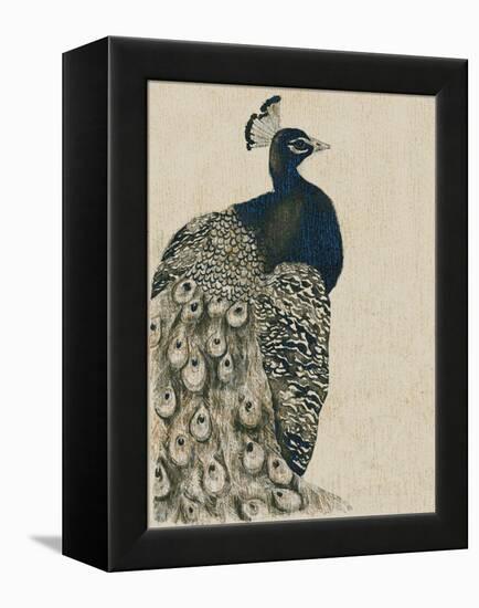 Textured Peacock I-Grace Popp-Framed Stretched Canvas