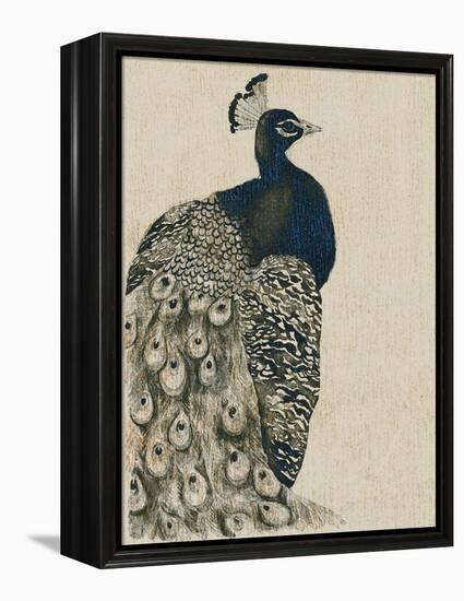 Textured Peacock I-Grace Popp-Framed Stretched Canvas