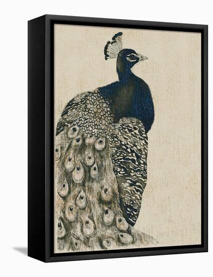 Textured Peacock I-Grace Popp-Framed Stretched Canvas