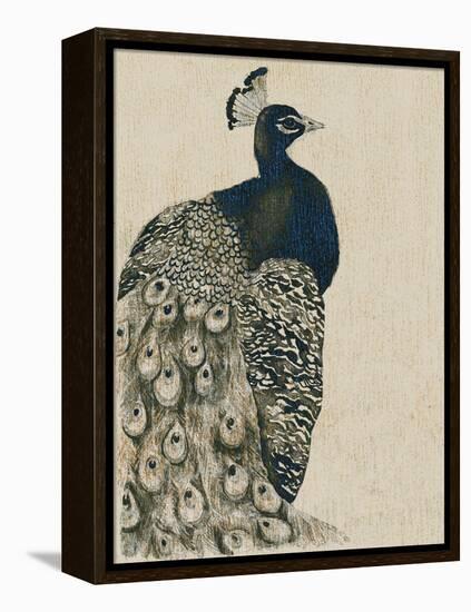 Textured Peacock I-Grace Popp-Framed Stretched Canvas