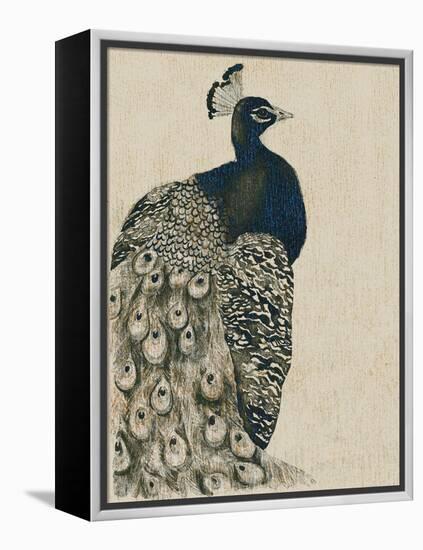 Textured Peacock I-Grace Popp-Framed Stretched Canvas