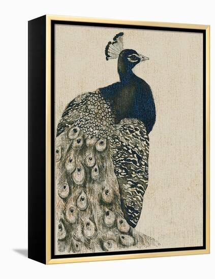 Textured Peacock I-Grace Popp-Framed Stretched Canvas