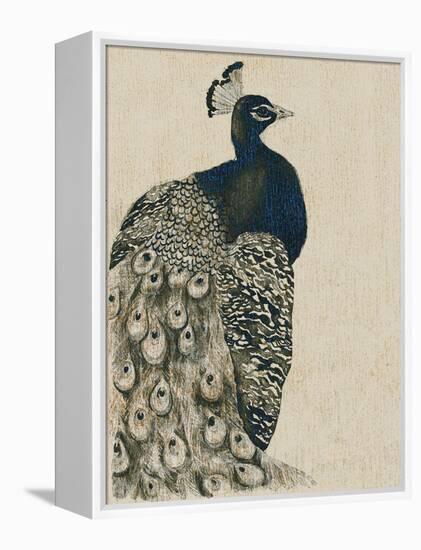 Textured Peacock I-Grace Popp-Framed Stretched Canvas