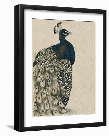 Textured Peacock I-Grace Popp-Framed Art Print